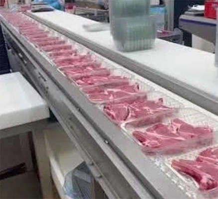Qualidade Máquina de Embalagem em Atmosfera Modificada de Aço Inoxidável 304 para Carne Fresca 5KW 380V Fábrica