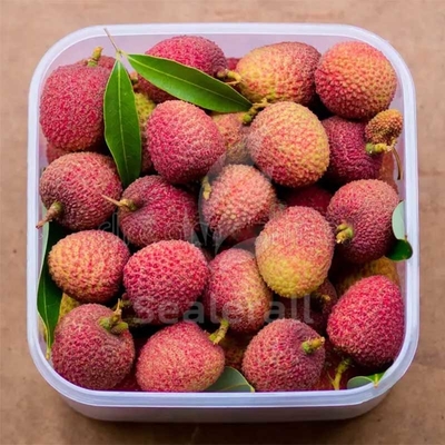 Good price Stainless Steel Modified Atmosphere Packaging Equipment For Fresh Litchi online