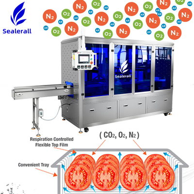 Good price 500-1000W Automatic Map Packaging Equipment High Productivity Customizable online